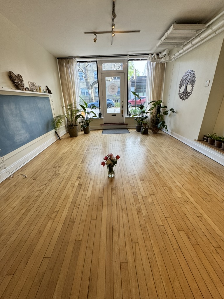Circle Studio interior with wood floors, plants, and natural light
